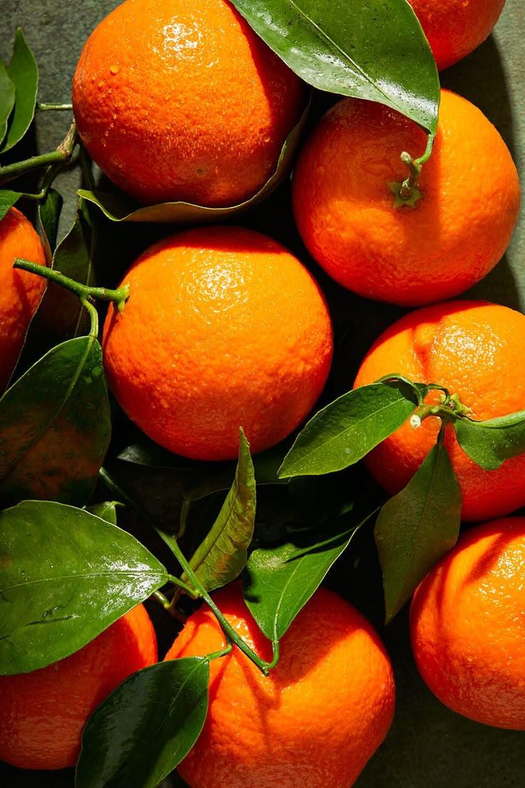 Harvest Harmony: Vibrant Veggie Variety Bunch